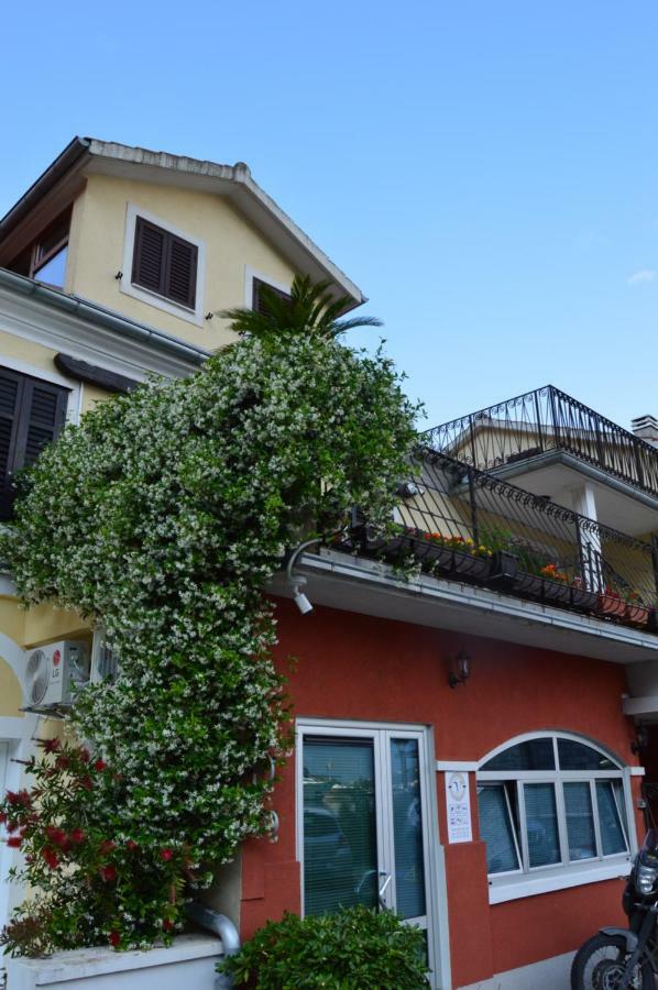 Apartments Qualitas Котор Екстер'єр фото